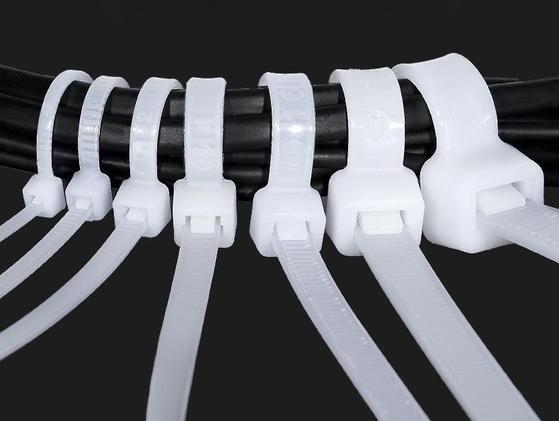 自鎖式尼龍?jiān)鷰?>
                              </div>
                        </div>
                    </div>
                </div></div></div></div></div>
          
    </div>    
    <div   id=